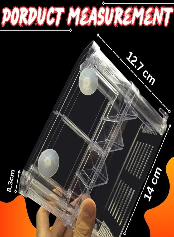 سايج سكوير حجرة عزل الأسماك من سيج سكوير، حل آمن وفعال لفصل الأسماك في أحواض السمك، فاصل للأحواض، حوض للحجر الصحي، حجرة مقسمة لحوض السمك، منطقة حماية لحوض السمك (صغيرة) - Image 4